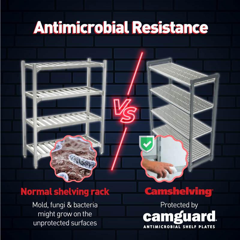 Cambro Camshelving vs Normal Shelving Rack - Antimicrobial resistance