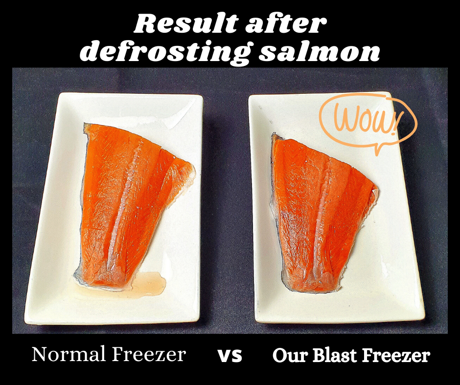 Blast Freezer: Result After Defrosting (Salmon)